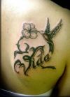 Hummingbird tattoos pics design